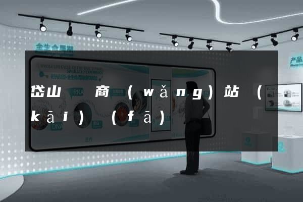 岱山縣電商網(wǎng)站開(kāi)發(fā)