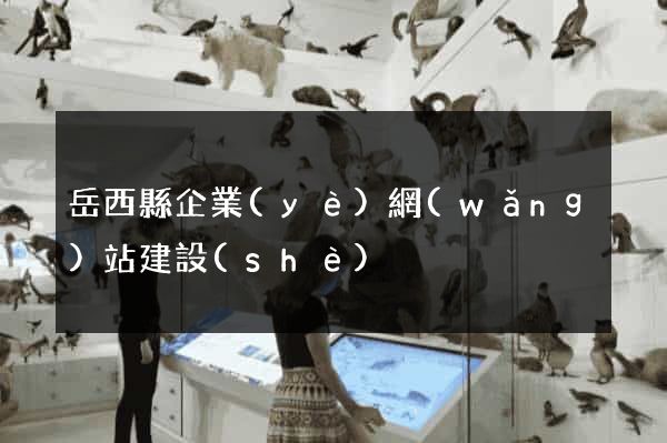 岳西縣企業(yè)網(wǎng)站建設(shè)