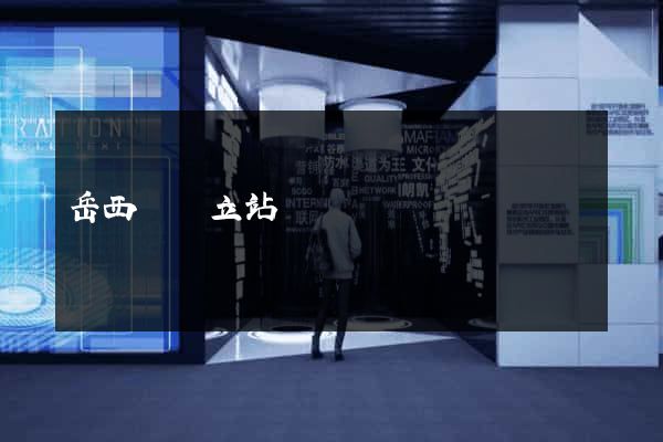 岳西縣獨立站運營