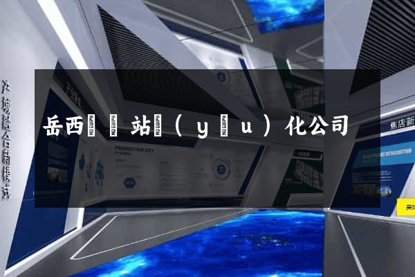 岳西縣網站優(yōu)化公司