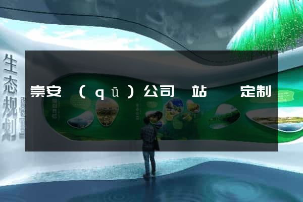 崇安區(qū)公司網站設計定制