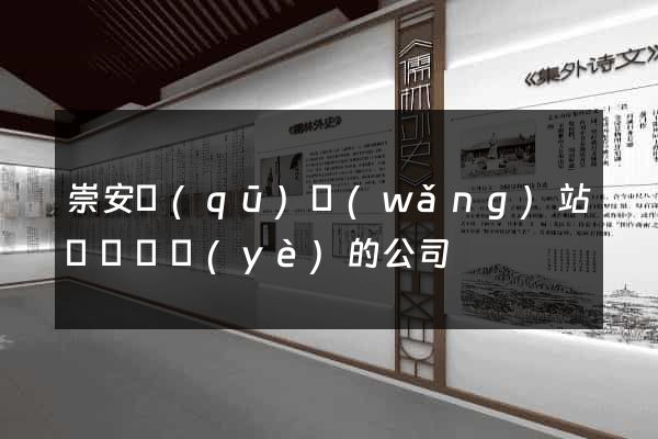 崇安區(qū)網(wǎng)站設計專業(yè)的公司