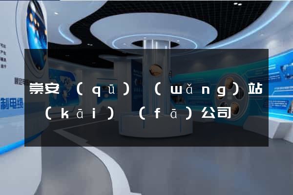 崇安區(qū)網(wǎng)站開(kāi)發(fā)公司