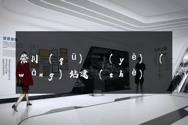 崇川區(qū)專業(yè)網(wǎng)站建設(shè)