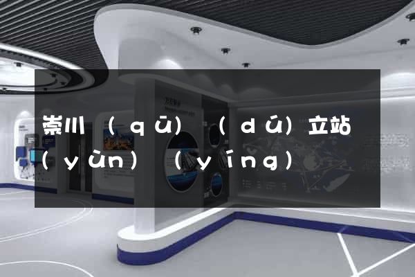 崇川區(qū)獨(dú)立站運(yùn)營(yíng)