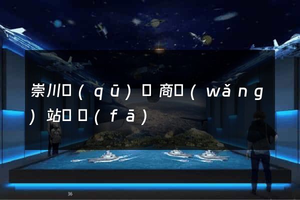 崇川區(qū)電商網(wǎng)站開發(fā)