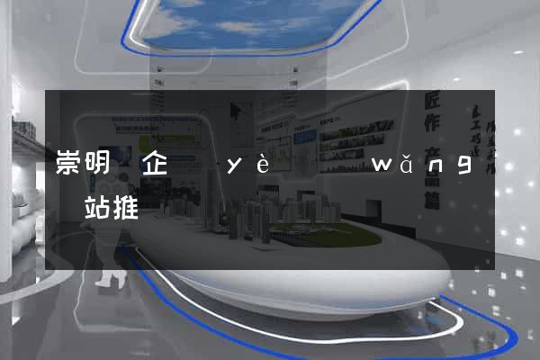 崇明縣企業(yè)網(wǎng)站推廣