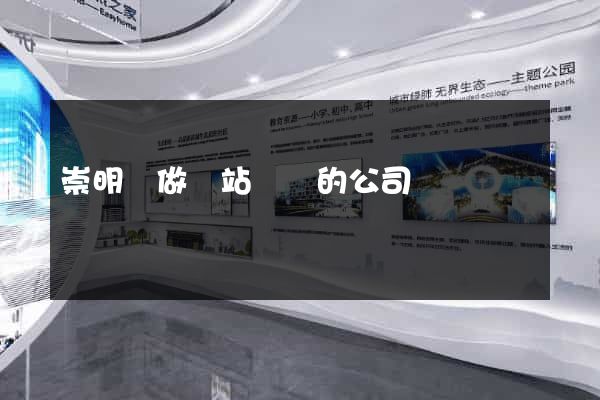 崇明縣做網站設計的公司