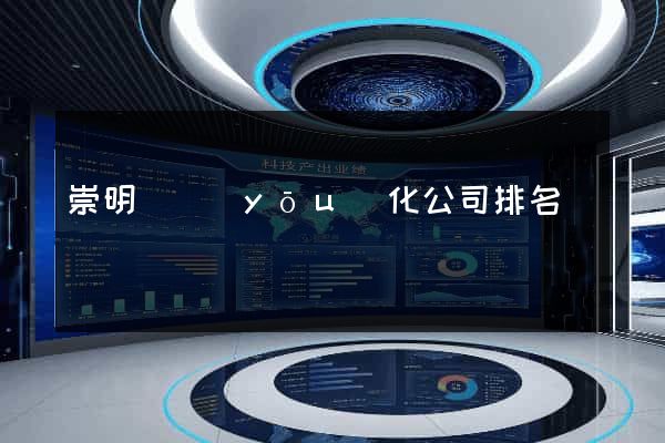 崇明縣優(yōu)化公司排名
