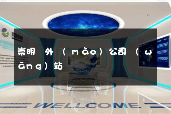 崇明縣外貿(mào)公司網(wǎng)站