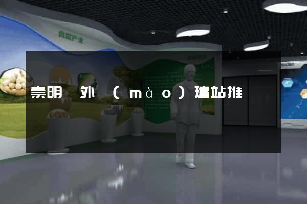 崇明縣外貿(mào)建站推廣