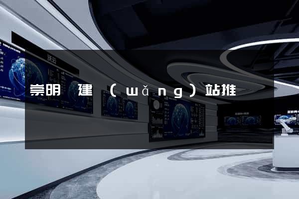 崇明縣建網(wǎng)站推廣