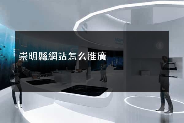 崇明縣網站怎么推廣
