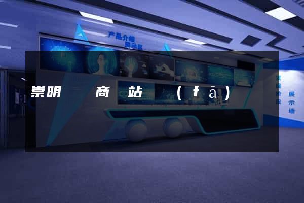 崇明縣電商網站開發(fā)
