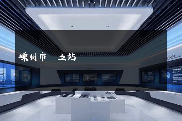 嵊州市獨立站運營