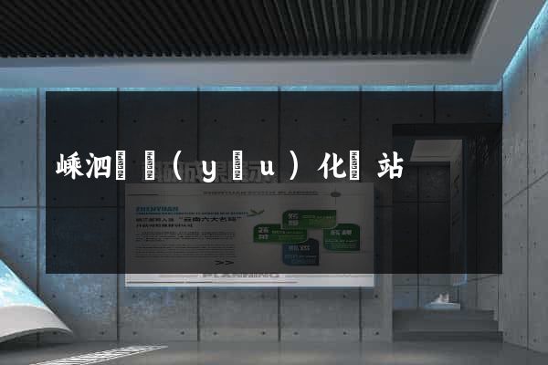 嵊泗縣優(yōu)化網站