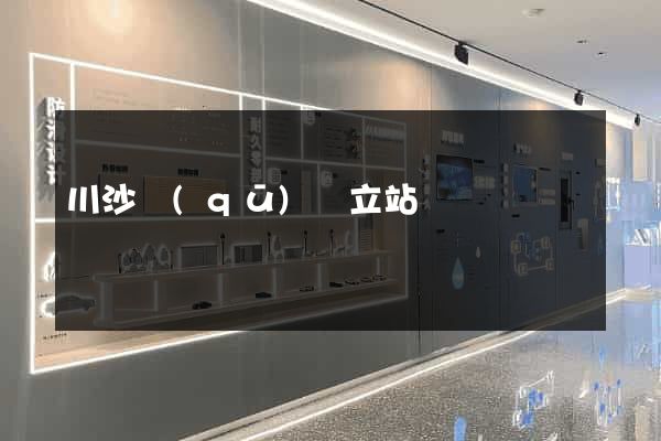 川沙區(qū)獨立站運營