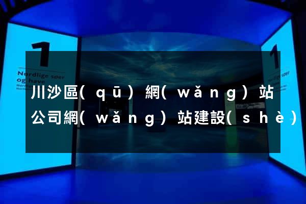 川沙區(qū)網(wǎng)站公司網(wǎng)站建設(shè)