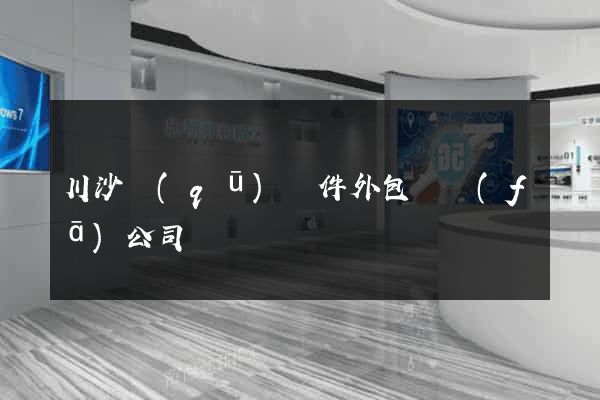 川沙區(qū)軟件外包開發(fā)公司