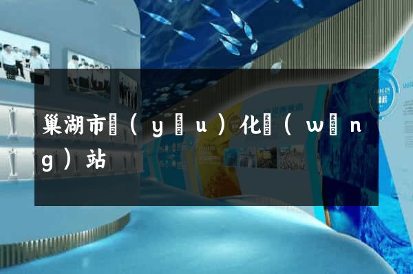 巢湖市優(yōu)化網(wǎng)站