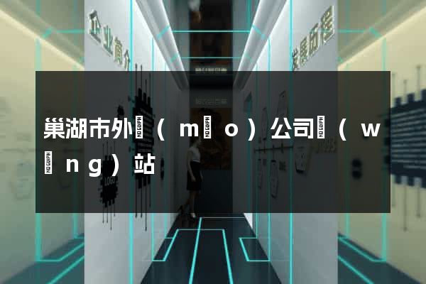 巢湖市外貿(mào)公司網(wǎng)站