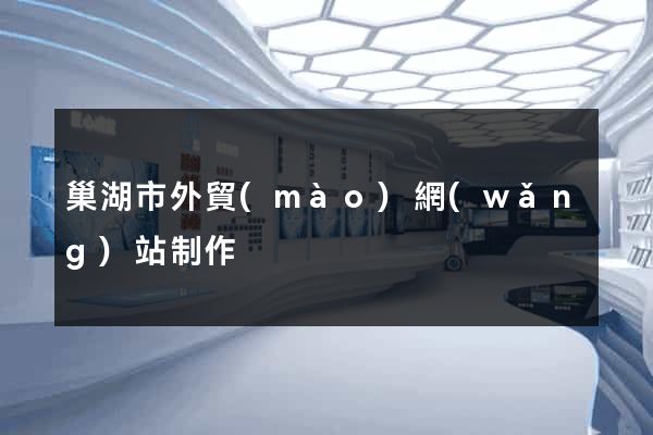 巢湖市外貿(mào)網(wǎng)站制作
