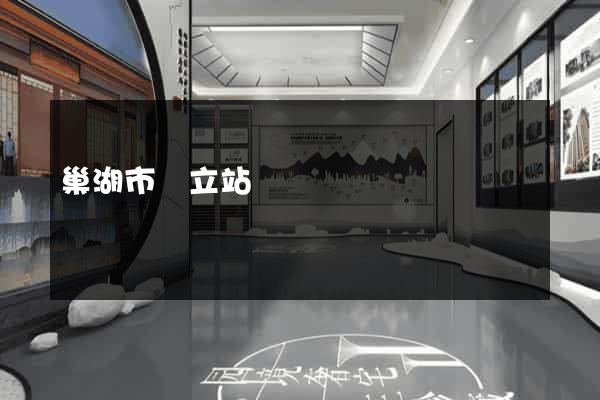 巢湖市獨立站運營