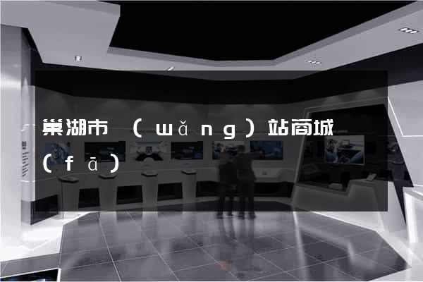 巢湖市網(wǎng)站商城開發(fā)