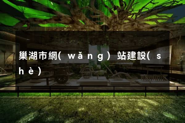 巢湖市網(wǎng)站建設(shè)