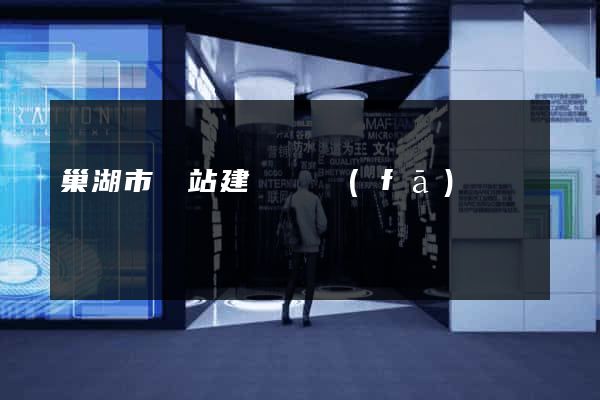 巢湖市網站建設開發(fā)