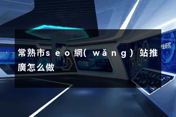 常熟市seo網(wǎng)站推廣怎么做