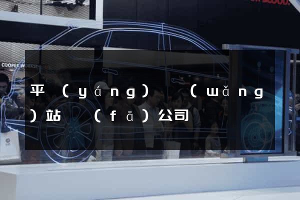 平陽(yáng)縣網(wǎng)站開發(fā)公司