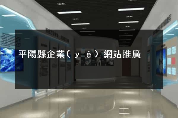 平陽縣企業(yè)網站推廣