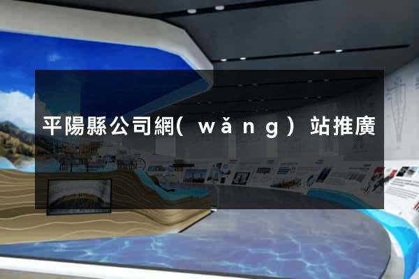 平陽縣公司網(wǎng)站推廣