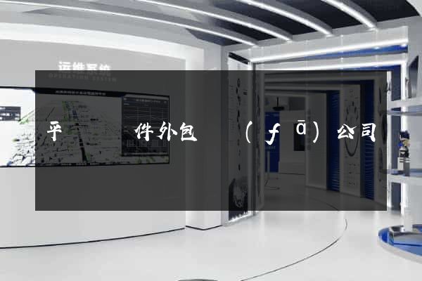 平陽縣軟件外包開發(fā)公司