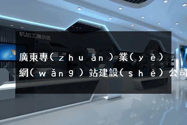 廣東專(zhuān)業(yè)網(wǎng)站建設(shè)公司