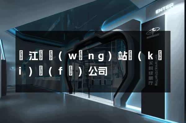 廬江縣網(wǎng)站開(kāi)發(fā)公司