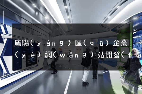 廬陽(yáng)區(qū)企業(yè)網(wǎng)站開發(fā)