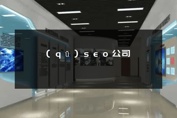 廬陽區(qū)seo公司