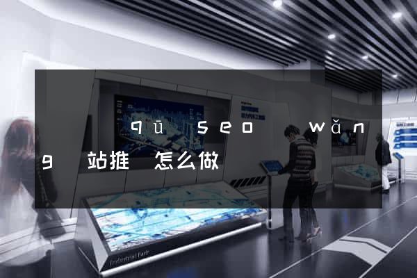 廬陽區(qū)seo網(wǎng)站推廣怎么做