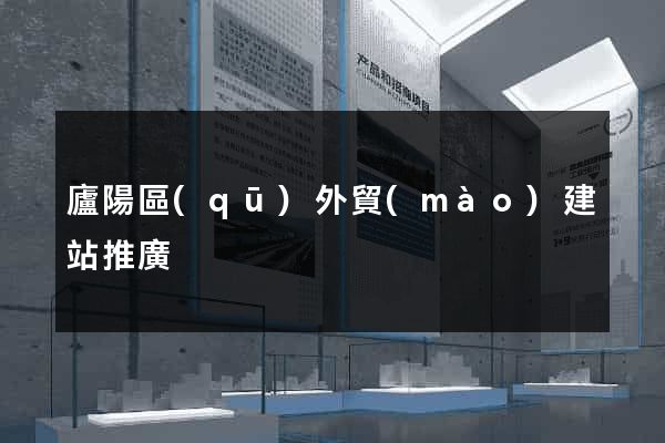 廬陽區(qū)外貿(mào)建站推廣
