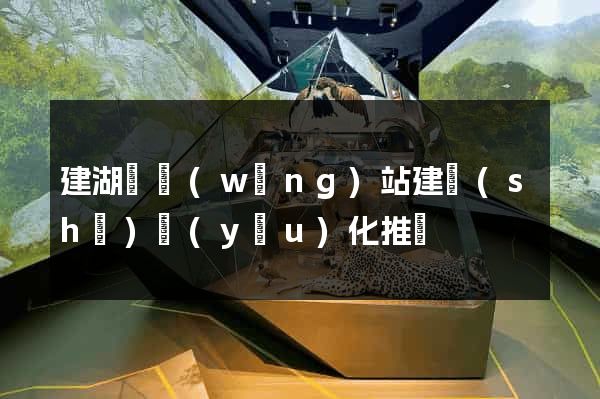 建湖縣網(wǎng)站建設(shè)優(yōu)化推廣