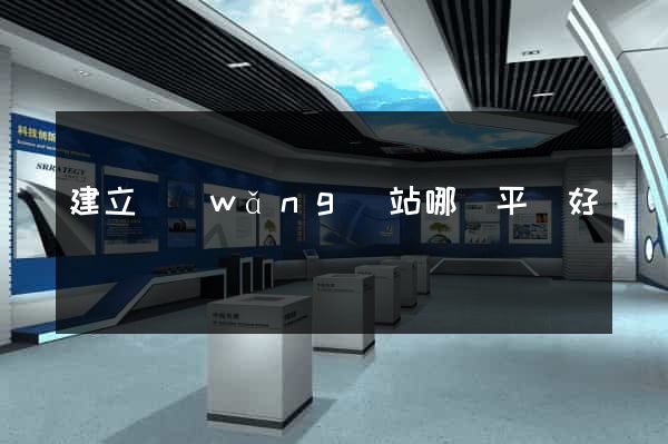 建立網(wǎng)站哪個平臺好