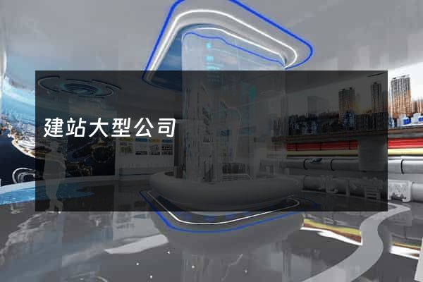 建站大型公司