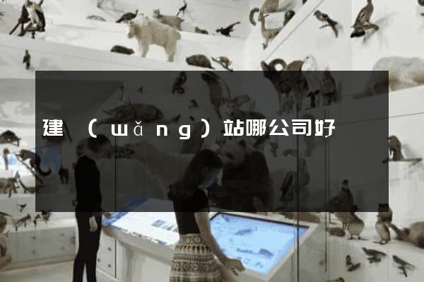建網(wǎng)站哪公司好