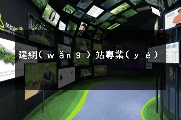 建網(wǎng)站專業(yè)