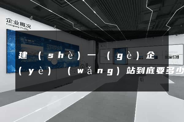建設(shè)一個(gè)企業(yè)網(wǎng)站到底要多少錢