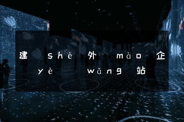 建設(shè)外貿(mào)企業(yè)網(wǎng)站