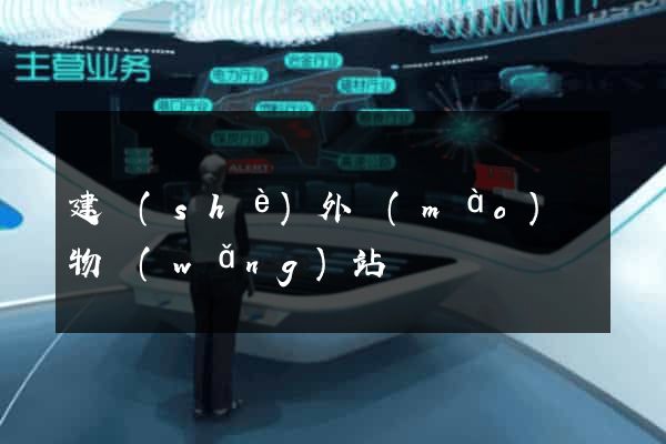 建設(shè)外貿(mào)購物網(wǎng)站