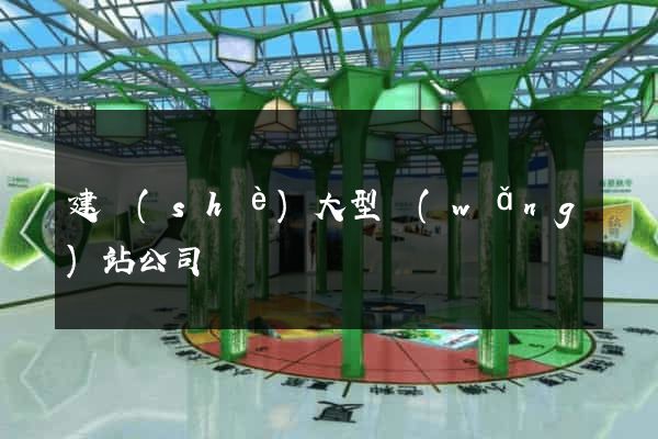建設(shè)大型網(wǎng)站公司